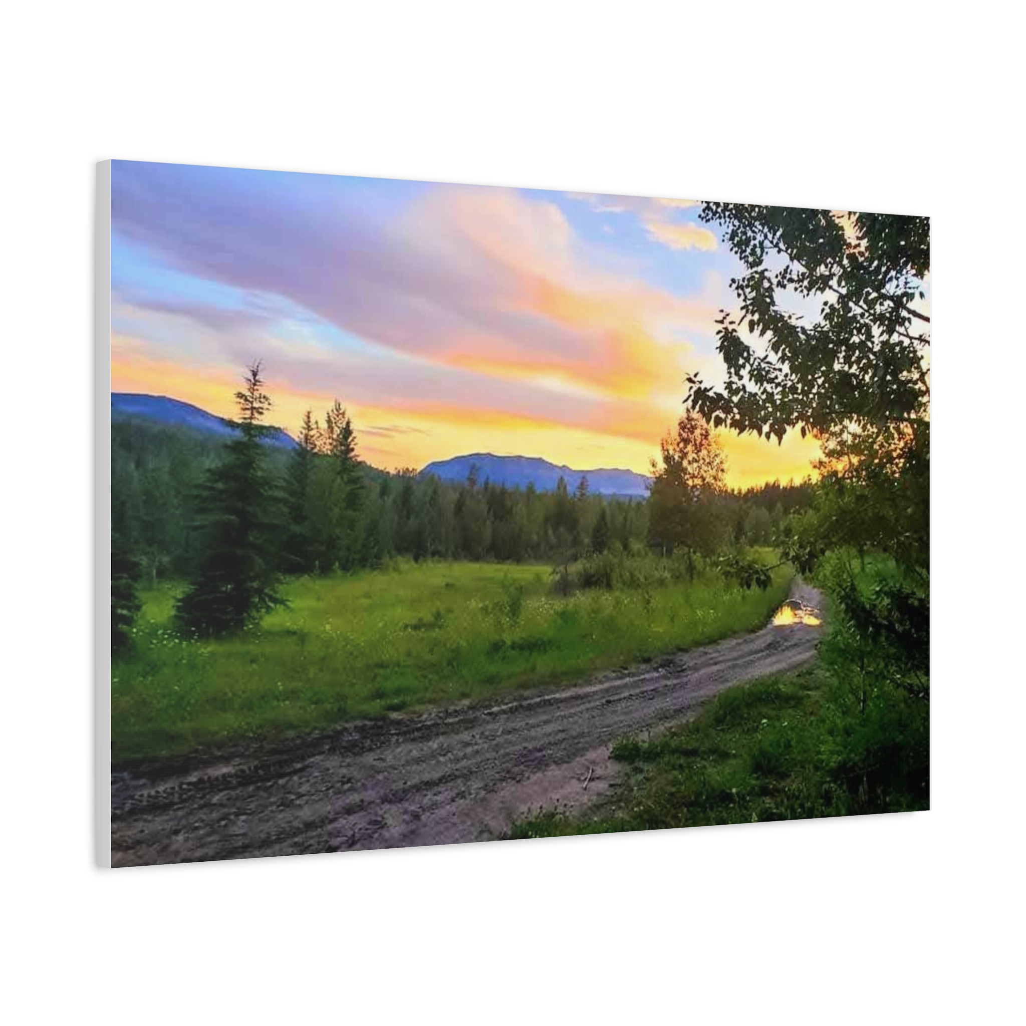 Sunset Forest Path In Alberta. Canvas Wall Art — Stretched 1.25" - Image 2