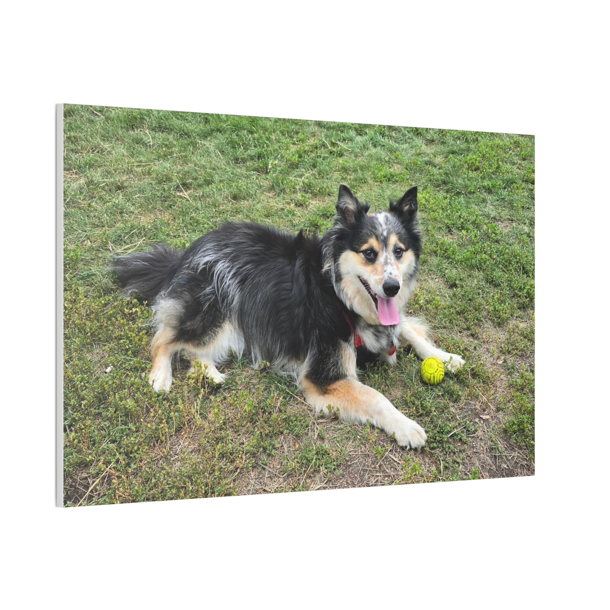 The Seto. - Wall Art (Stretched Canvas Print) - Image 14