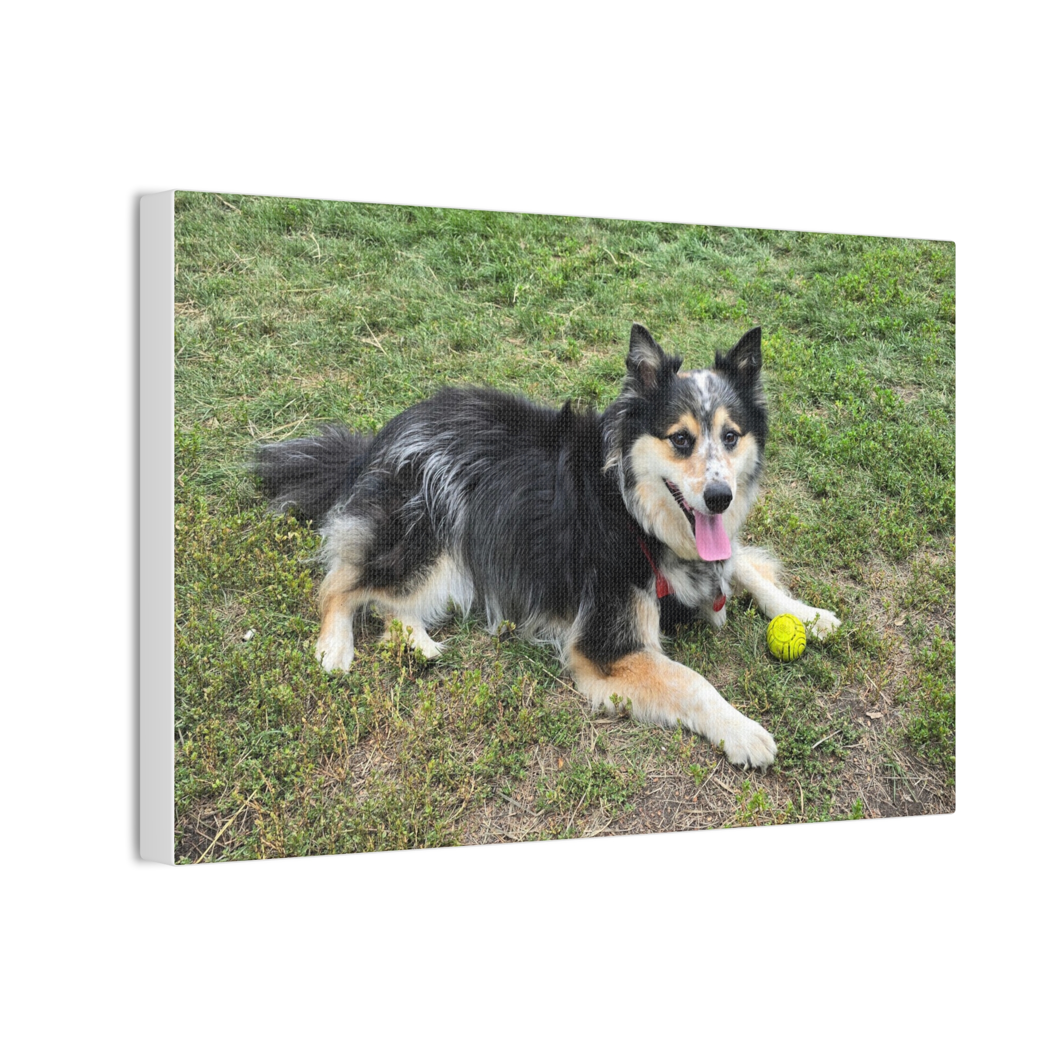 The Seto. - Wall Art (Stretched Canvas Print) - Image 2