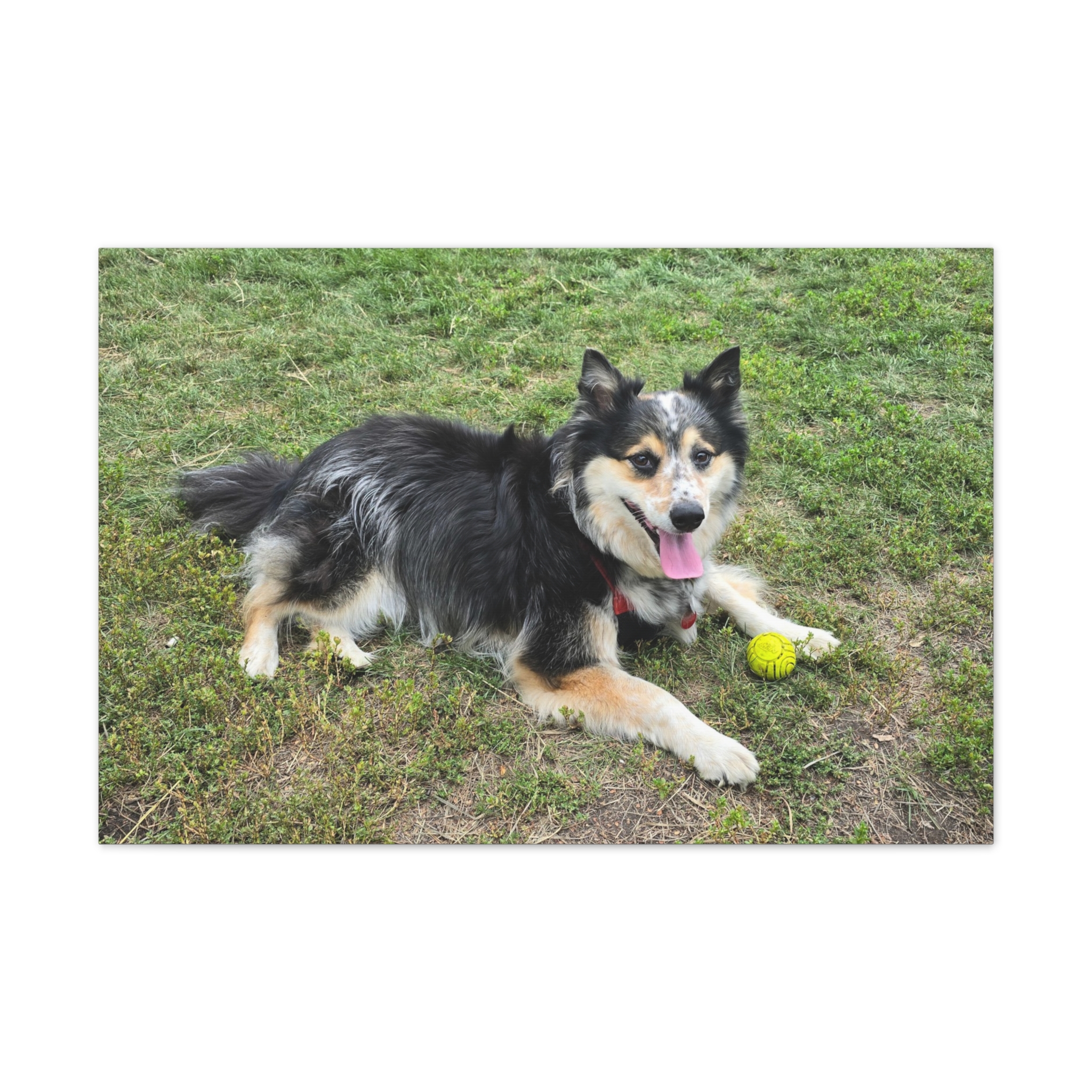 The Seto. - Wall Art (Stretched Canvas Print) - Image 13