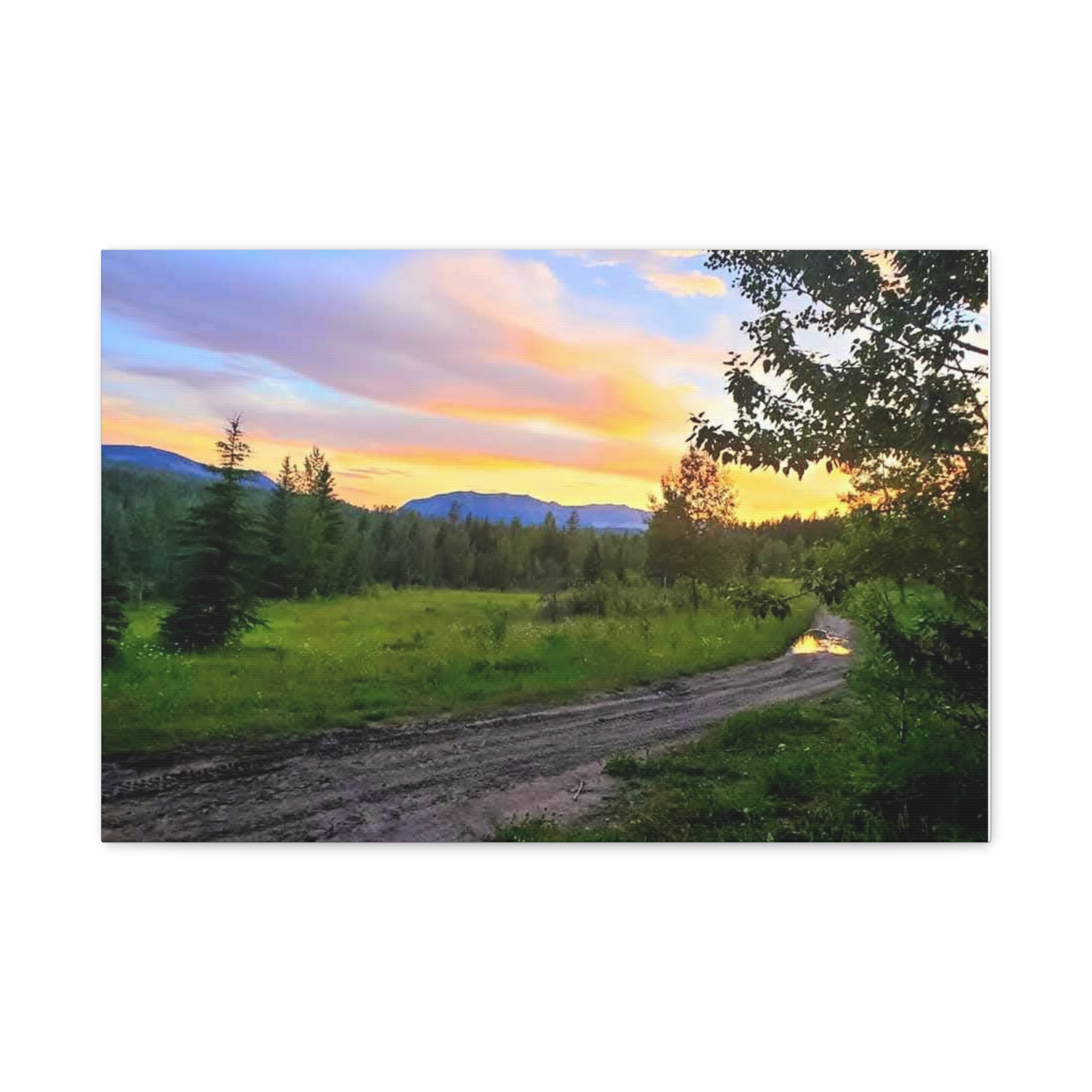Sunset Forest Path In Alberta. Canvas Wall Art — Stretched 1.25" - Image 5
